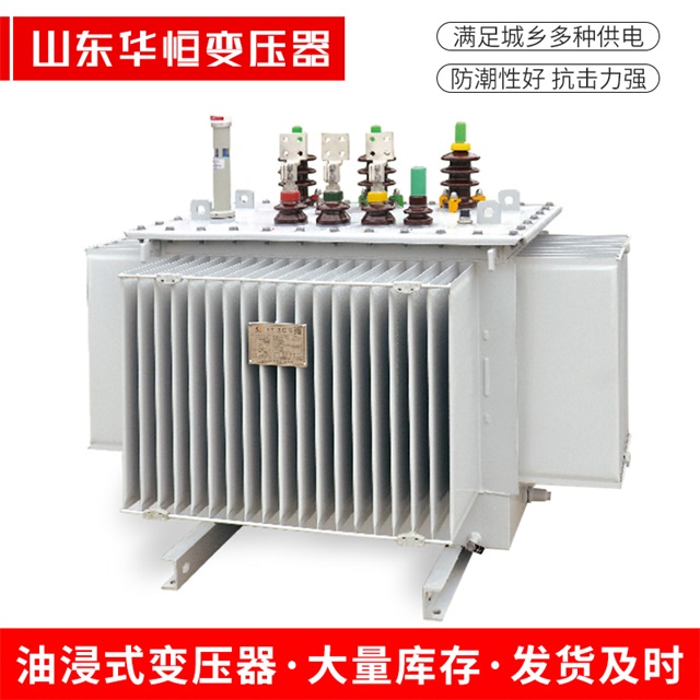 S13-10000/35宁洱宁洱宁洱电力变压器